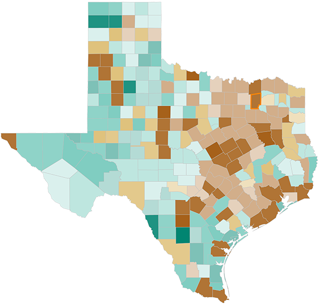 Texas Voter Turnout Map